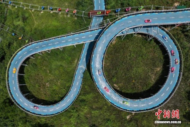 貴州黔西:羊駝小鎮暑期旅游熱