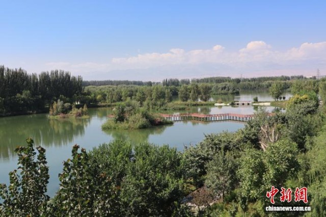 新疆阿克蘇國家濕地公園引眾鳥來棲