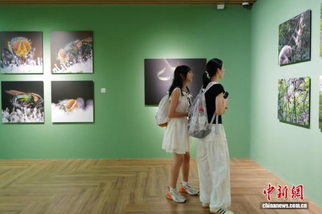 中國濕地博物館夏日引游人盡顯人與自然之美