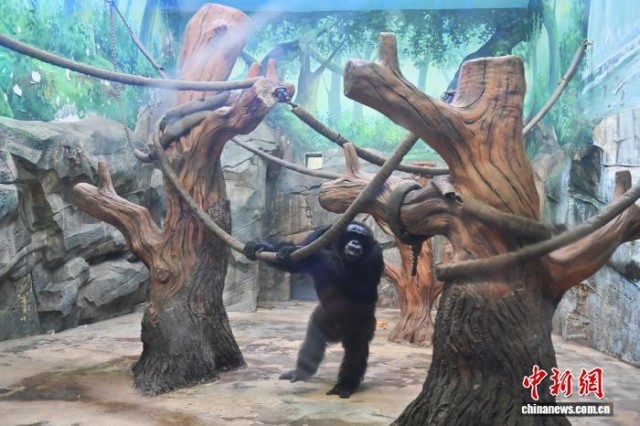 長春市動植物公園小動物溫暖過冬